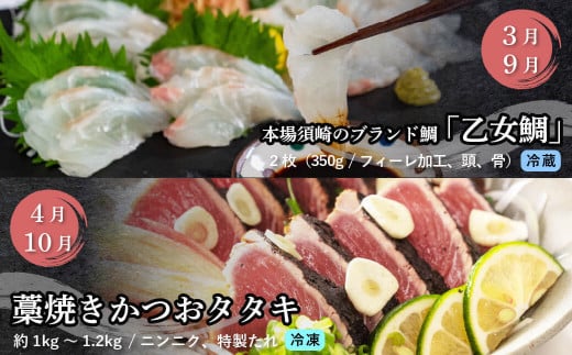 刺身 定期便 6ヶ月 小島水産 がお届けする！ 美味しい お刺身 大容量 コース ( 鮮魚 下処理済 )  産地直送 半年 新鮮 鮮魚 ( 6回 お楽しみ 定期便 お刺身 かつお タタキ カツオ 鰹 鯛 たい 真鯛 タイ 鰤 ぶり ブリ 勘八 カンパチ かんぱち シマアジ 縞鯵 しまあじ 高級魚 魚貝 ) KS28000-5x 大容量