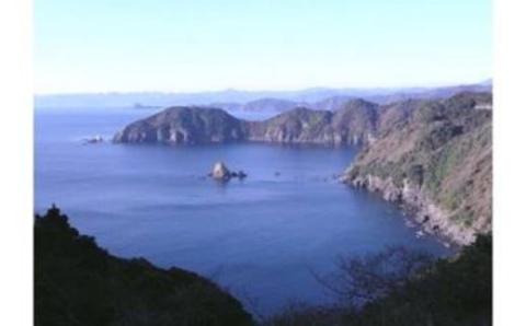 純米吟醸酒【酔鯨吟麗】と純米酒【須崎】各1.8L 2本 セット 【地酒】