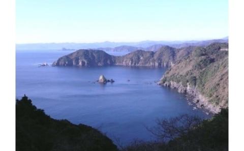 土佐の地酒【最高位金賞受賞蔵・純米酒】一升瓶6本 セット 【地酒】