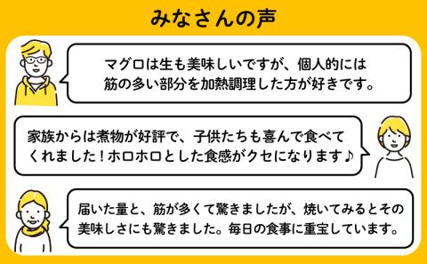 【訳あり】メバチマグロの腹身 まぐろのハランボ 鮪のトロ