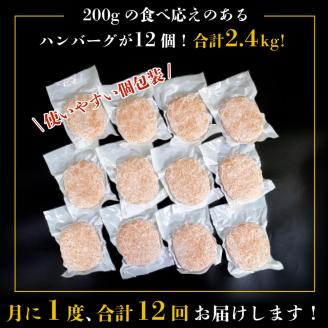 ハンバーグ 2.4kg 1年 12回 定期便 【四万十ポーク使用】