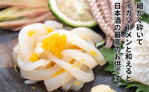 職人吉岡 カラスミ 訳あり 100g 珍味 酒の肴 つまみ 魚卵 高知 須崎 日本酒 国産 家庭用 100g