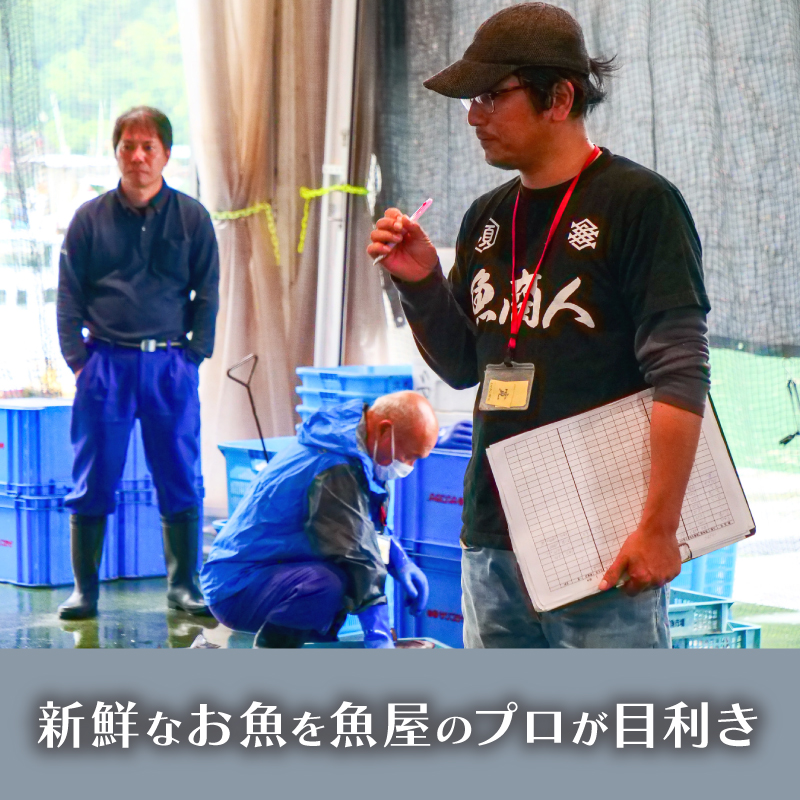 【鮮魚フライ】 おまかせ 鮮魚 フライ 10切れ セット