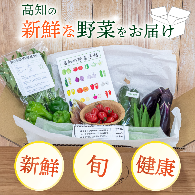 南国高知よりまごころ野菜セット 野菜でお家ごはん 【6～8品目】