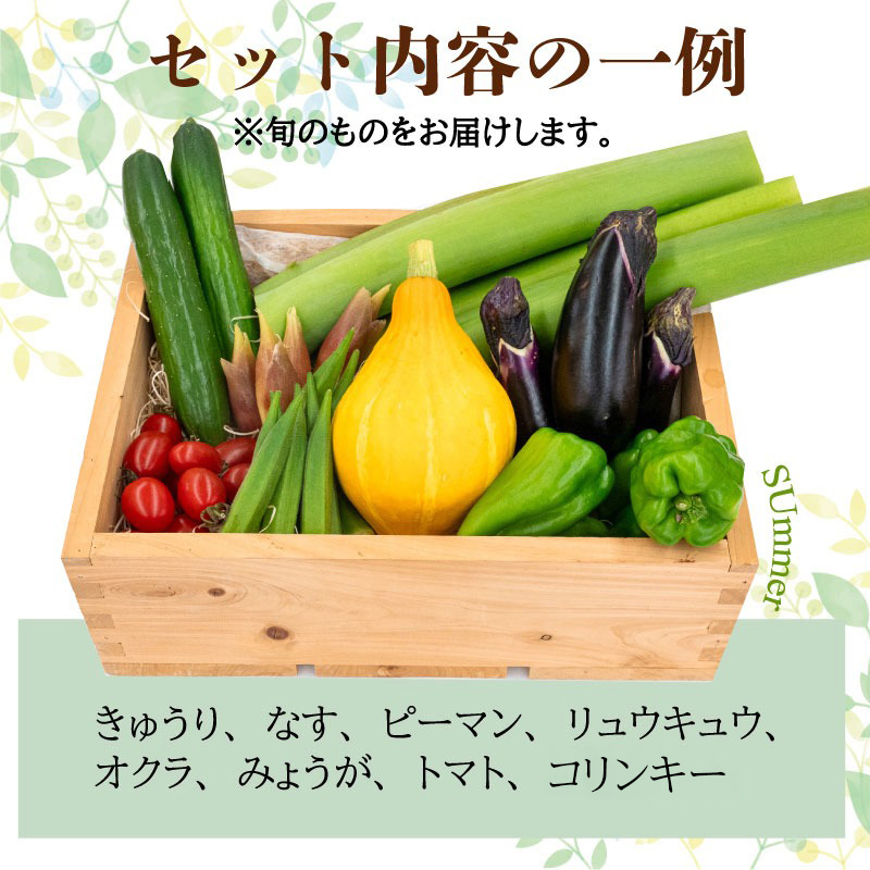 【年末年始限定】【高知の野菜10回定期便【プレミアム】