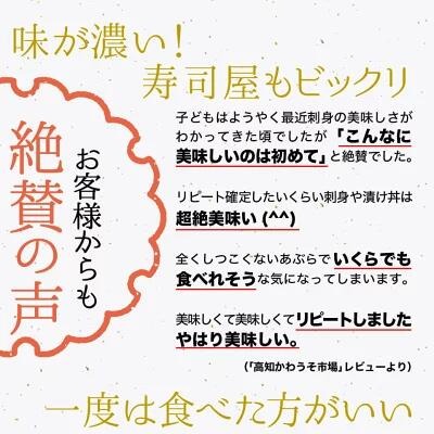 高級カンパチ 「須崎勘八」 まるごと１尾