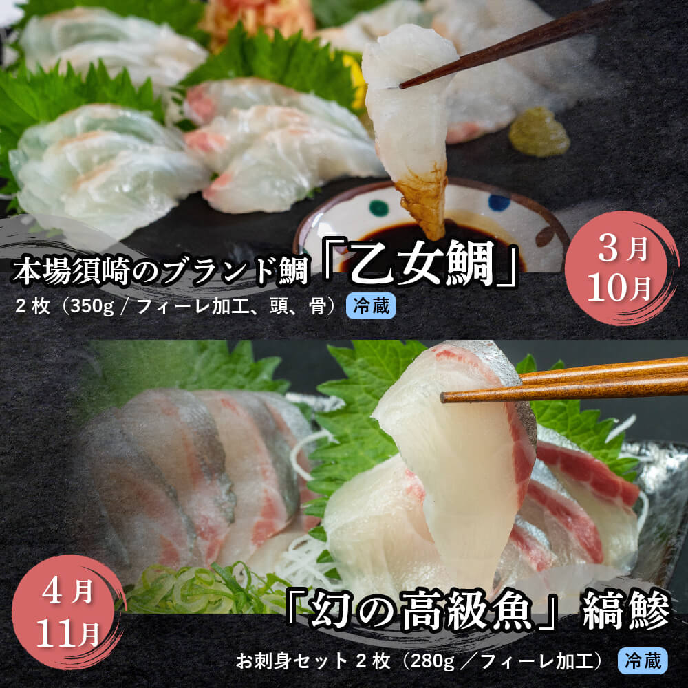 鮮魚お刺身定期便 1年 12回コース【小島水産】