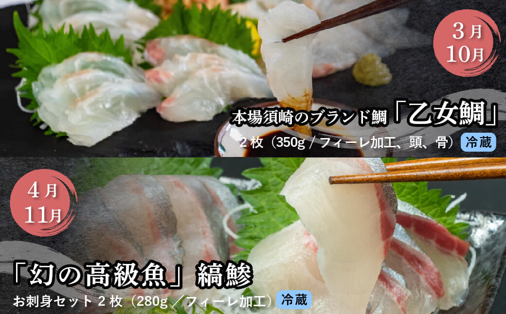 刺身 定期便 【 12ヶ月 】 小島水産 がお届けする！ 美味しい お刺身 1年 コース ( 鮮魚 下処理済 ) 産地直送 12回 新鮮 鮮魚 （ 鰤 ブリ 勘八 カンパチ 鯛 乙女鯛 真鯛 マダイ かつおのタタキ 鰹 カツオ 鰹のたたき 縞鯵 シマアジ ） 刺身 高知県 須崎市