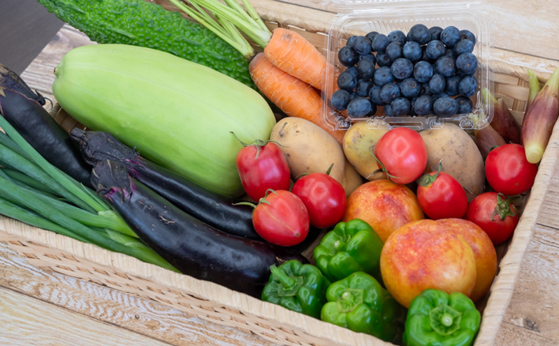 野菜 ･ 果物 10 ～ 13 種類 セット | 季節 旬 野菜 詰め合せ 国産 季節 旬 おまかせ 産地直送 春野菜 夏野菜 秋野菜 きのこ 葉物 果物 果菜 根菜 冷蔵 野菜室 食 栄養食 加工品 季節限定 山菜 ブロッコリー たまねぎ サラダ トマト 高知県 須崎市 ME001-x