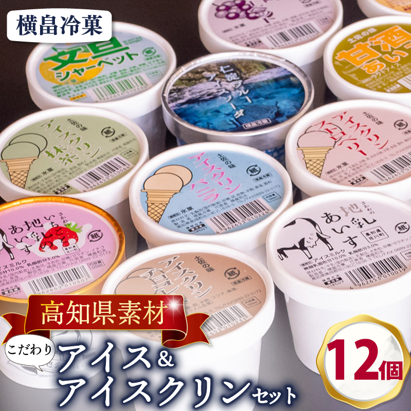 高知 名物 アイスクリン ふるさとの味アイス 12個 セット 【 ゆず 文旦 甘酒 ミルク いちごミルク 生姜 バニラ 抹茶 いちご チョコ ソーダ 人気 カップ スイーツ バラエティ おやつ 詰め合わせ デザート 詰合せ 】 【道の駅須崎】