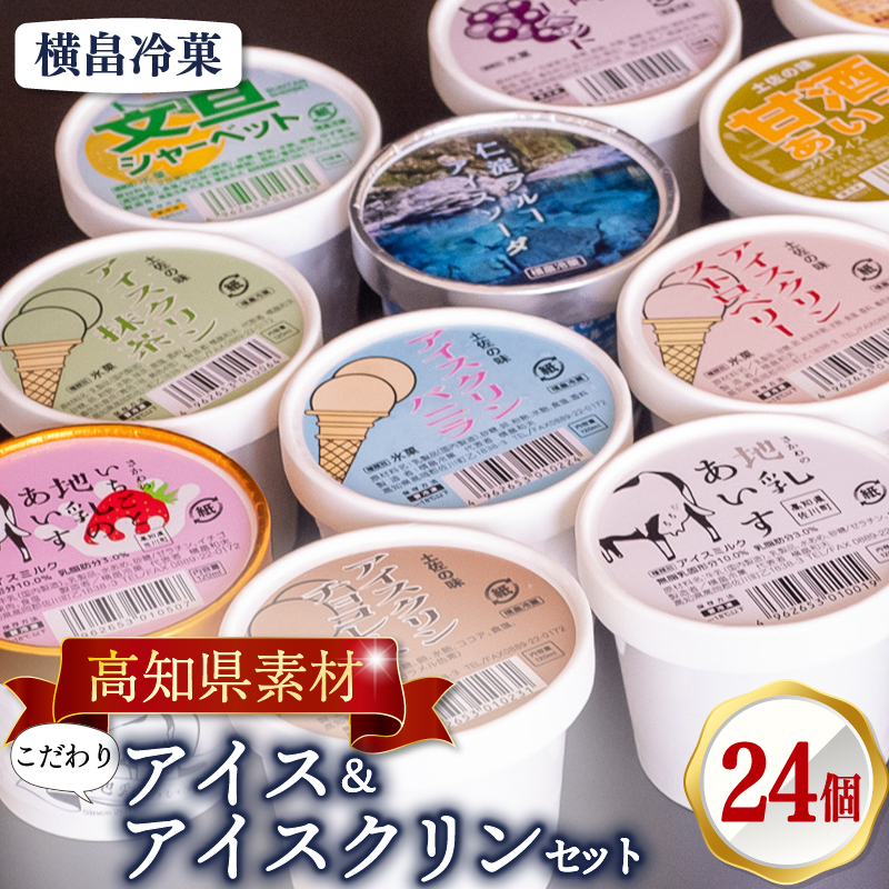 高知 名物 アイスクリン ふるさとの味アイス 24個 セット 【 ゆず 文旦 甘酒 ミルク いちごミルク 生姜 バニラ 抹茶 いちご チョコ ソーダ 人気 カップ スイーツ バラエティ おやつ 詰め合わせ デザート 詰合せ 】 【道の駅須崎】