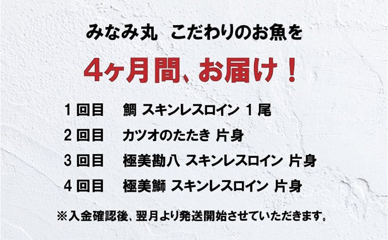 4ヶ月 連続 定期便 こだわり お魚 コース