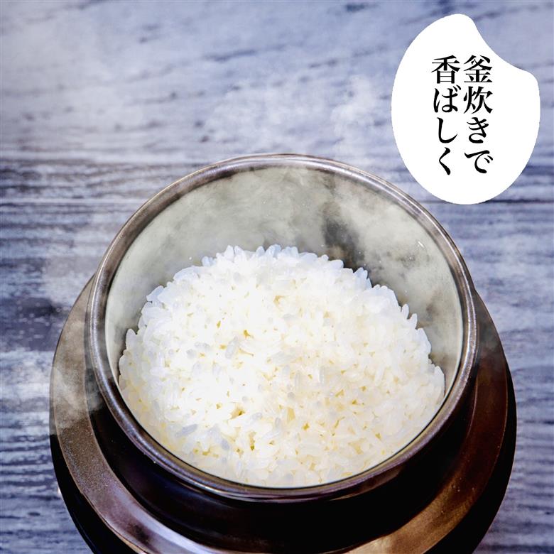 【 先行 予約 】高知県産 コシヒカリ 10ｋｇNPO012-3x