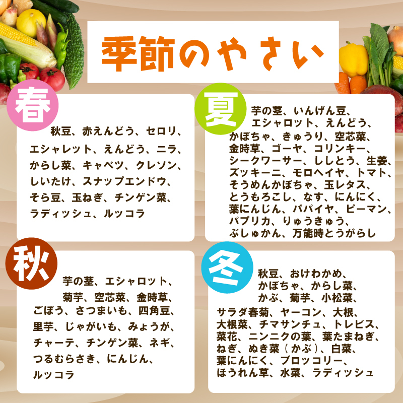 野菜定期便 7品~8品 6ヵ月