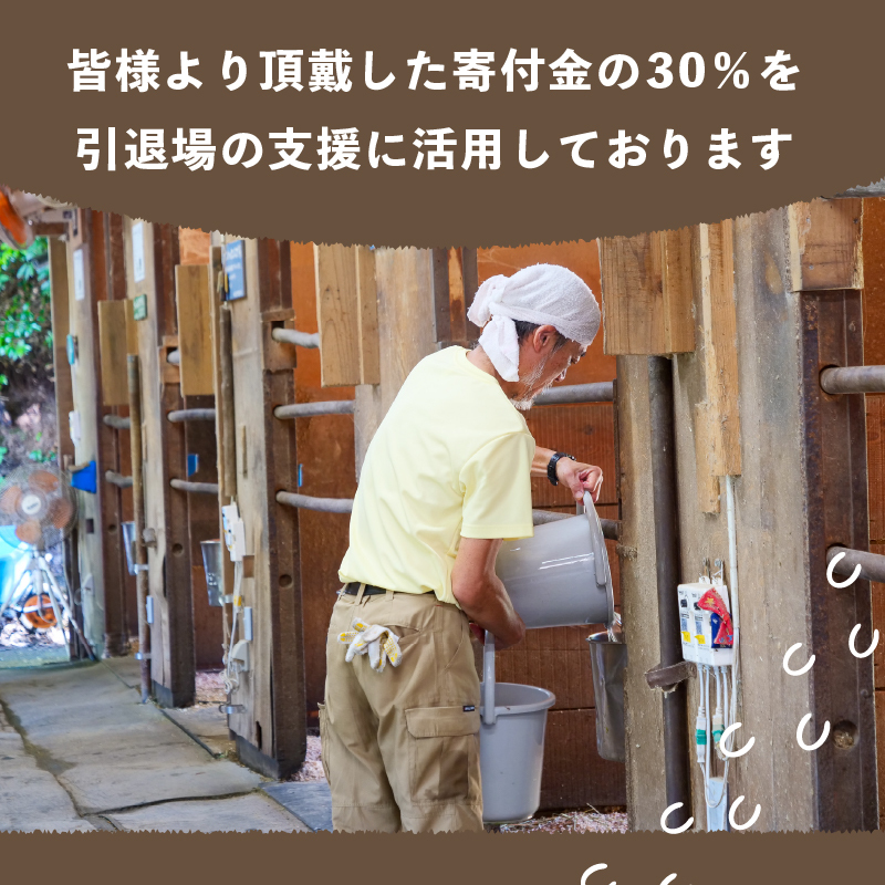 競走馬 引退後はどこへ？ 黒潮友馬会応援 10万円コース: 須崎市ANAのふるさと納税