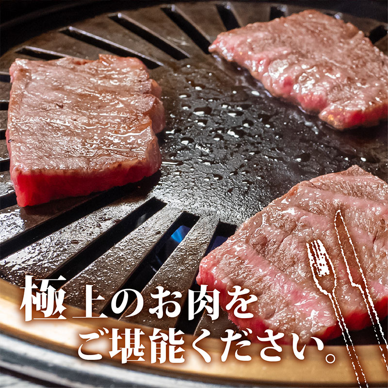 土佐 黒毛 和牛 焼肉用 800g 【 400g × 2パック 】