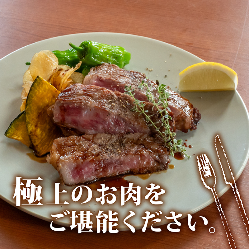 【2回定期】土佐黒毛和牛 食べ比べ 1860g 【計1.8kg以上】