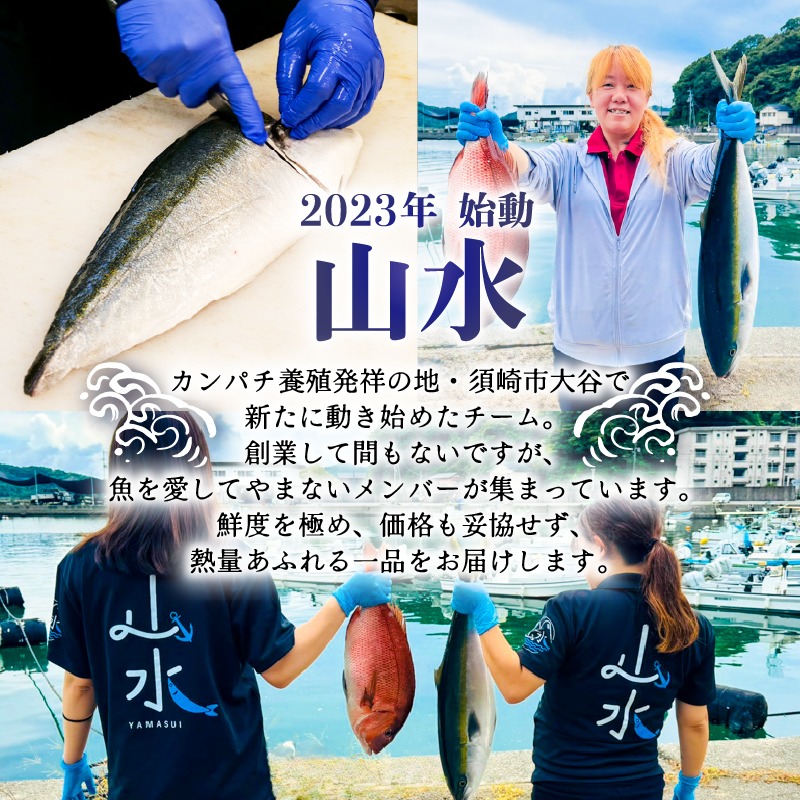 真鯛 タイ お刺身 250g 産地直送 冷蔵 醤油 セット 新鮮 鮮魚 養殖 皮引き 柵 スキンレス ロイン 鯛 たい タイ 年末年始 正月 お食い初め 刺身 しゃぶしゃぶ 鯛しゃぶ 鍋 鯛めし 鯛茶漬け 出汁茶漬け 漬け カルパッチョ タタキ 炙り 塩焼き 煮込み 料理 10000円 高知県 須崎市 YI011