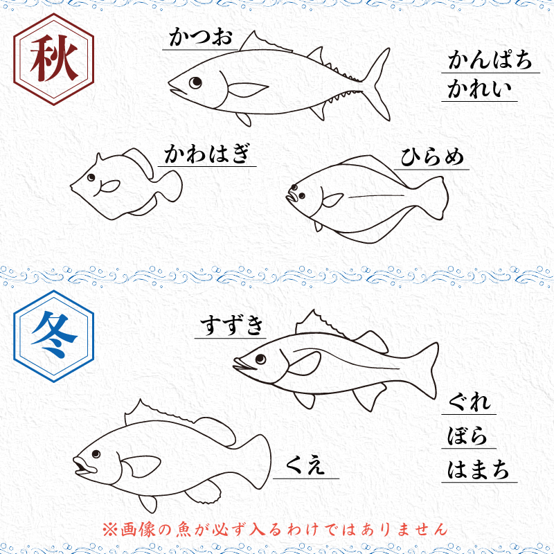 朝どれ地魚３～４種類で お刺身セット！生すり身付き【Aセット】