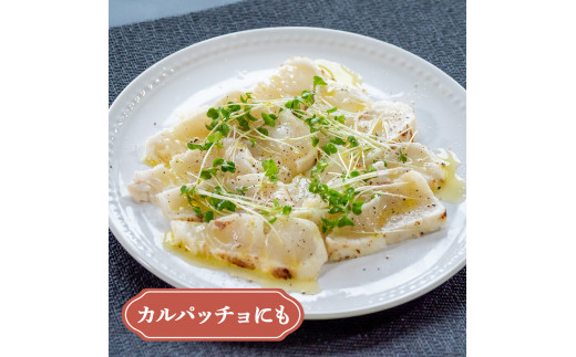 ブランド真鯛【乙女鯛】の藁焼きタタキ 【1尾分】 【小島水産】