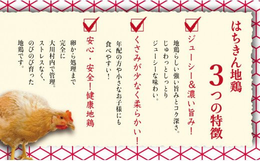 鶏肉 手羽先 手羽元 計 2kg ブランド鶏 お得 パック 詰め合わせ 土佐はちきん地鶏 簡単調理 料理 唐揚げ おかず おつまみ から揚げ からあげ用 てばさき てばもと とり肉 鳥肉 セット ギフト 贈答用 おすすめ ランキング 高知県 須崎市 ME046-x