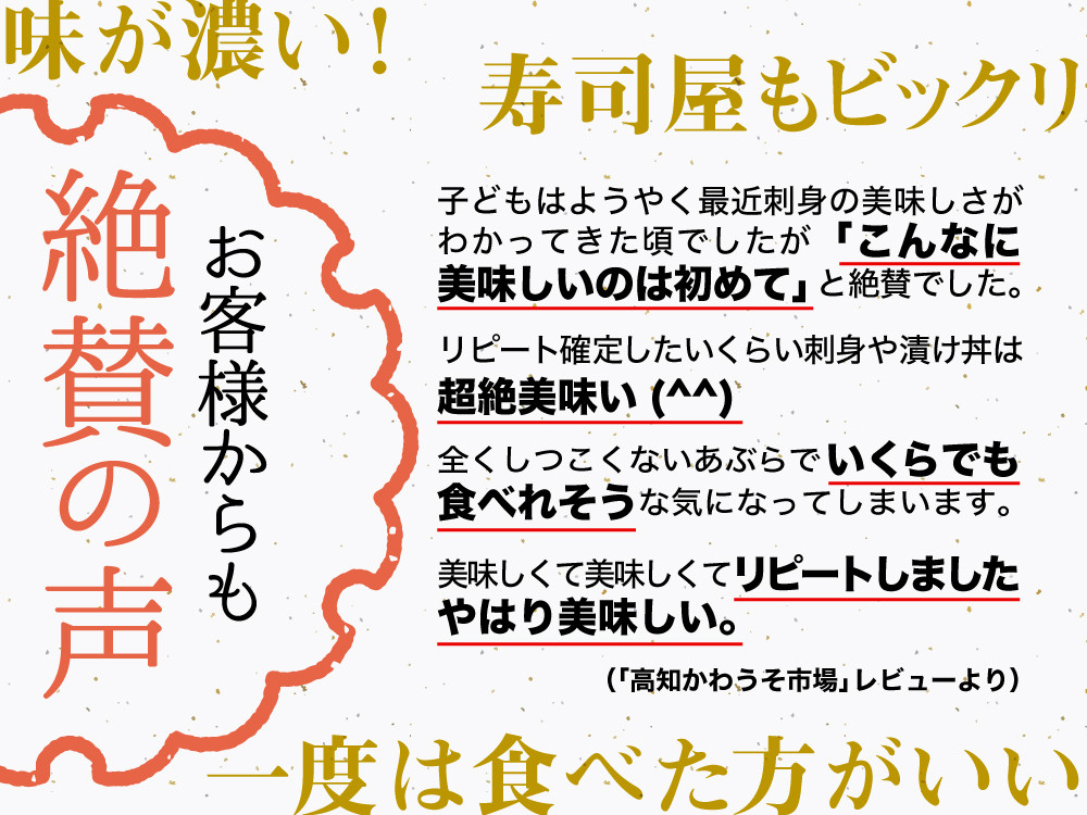 高級カンパチ 「須崎勘八」 お刺身用 半身
