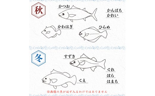 朝どれ地魚３～４種類 お刺身セット 生すり身付き【Ｂ】 6～8人前