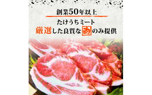 四万十ポークスライス600g | 300g × 2パック セット 豚肉 豚バラ肉 小分け 小間切れ スライス 切り落とし 冷凍 真空パック 簡単調理 細切れ 大容量 肉 高知県 須崎市 TM035 600g（300g×2パック）
