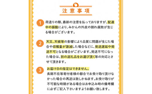 【早期予約開始!!2026年2月頃より順次発送】浦ノ内特産 土佐文旦 10kg 優品 2L ･ 3L 混合 | 果物 フルーツ 文旦 ぶんたん ブンタン みかん 蜜柑 柑橘 文旦 大玉 10キロ 人気 ランキング 数量限定 期間限定 早期予約産地直送 生産農家直送 明神果樹園 高知県 須崎市 MKJ006_x