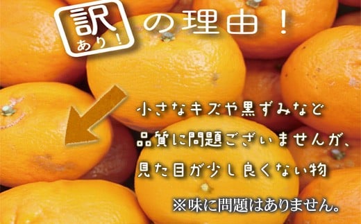 【早期予約開始】 2026年1月中旬より順次発送 ポンカン 訳あり 5kg サイズ混合 家庭用 立目 ブランド 果物 フルーツ 冬 柑橘 2026年 収穫分 みかん 蜜柑 デザート 高知県 須崎市 TMS001 5kg訳あり(サイズ混合)