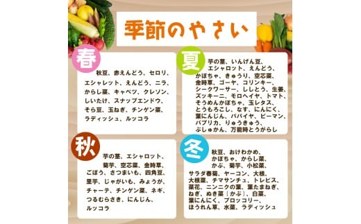 野菜定期便 7品~8品 6ヵ月 【6ヶ月】野菜定期便