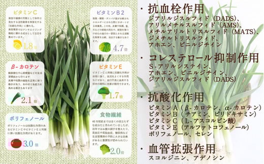 葉 にんにく ぬた 洋風2種 ( ジェノベーゼ 風 かつお に 合う ぬた ) ご当地 万能 調味料 有機 野菜 ニンニク EA029_x