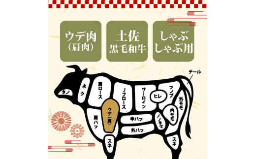 【定期3回】土佐黒毛和牛ウデ肉しゃぶしゃぶ用 計3.6kg【1.2kg×3ヶ月連続お届け】 3Cコース