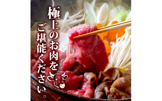 土佐黒毛和牛A5?A4等級【特撰ウデ肉】すき焼用８００ｇ 【土佐黒毛和牛和牛】
