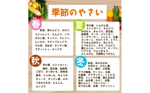 野菜定期便 7品~8品 12ヵ月 【12ヶ月】野菜定期便