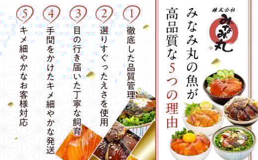 漬け丼セット 計 5 パック （ 5 種類 × 1 パック ）｜ 海鮮 醤油 漬け 5 セット 藁焼き 鰹 タタキ かつお カツオ サバ さば 鯖 真鯛 鯛 たい タイ カンパチ 勘八 ブリ 鰤 詰合せ セット 惣菜 海鮮丼 お刺身 小分け パック 国産 セット お茶漬け 時短 簡単 お手軽 人気 惣菜 海の幸 刺し身 漬け 丼 加工品 冷凍 みなみ丸 高知県 須崎市 MM007_x 5種類・各1パック