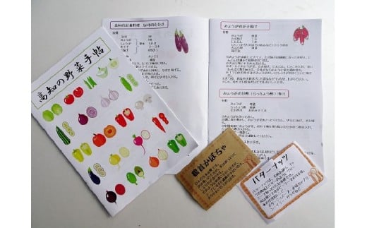 定期便 8回 野菜 おまかせ セット 10 ～ 14種 旬 新玉ねぎ そら豆 スナップえんどう 春キャベツ フルーツトマト じゃが芋 みょうが ズッキーニ オクラ コリンキー かぼちゃ すじなし豆 トマト 花ニラ さつま芋 栗 秋豆 ぶしゅかん しょうが キク芋 赤大根 白大根 かぶ カリフラワー 芽キャベツ 白菜 ブロッコリー 葉ニンニク ゆず 須崎 高知 頒布会 HNT3000