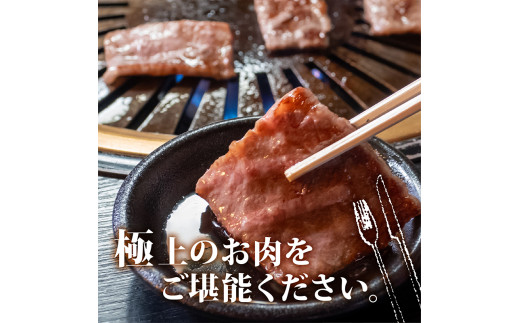 【定期4回】土佐 黒毛 和牛 焼肉用 計2kg【500g×4ヶ月連続お届け】