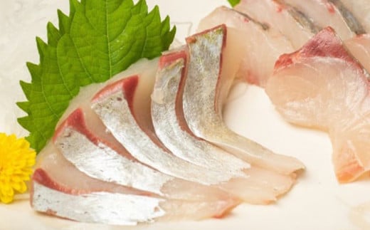 6ヶ月 連続 定期便 こだわり お魚 コース | かつお かつおのたたき かつおのタタキ 鰹のたたき サバ さば 鯛 たい タイ 勘八 カンパチ 鰤 ブリ ぶり 漬け丼 刺身 頒布会 6回 みなみ丸 定期便 数量限定 須崎市 高知県