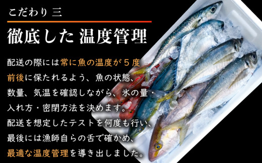 【 船上 神経締め 鮮魚 ボックス 】朝獲れ 直送 大漁コース (2025年5月出荷) 冷蔵 魚種お任せ 水揚げ 海鮮 魚介 産地直送 新鮮 天然 魚 詰め合わせ  2026年5月出荷