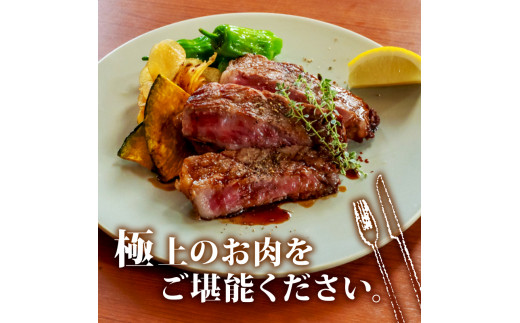 サーロインステーキ 440g 【 220g × 2枚 】 土佐 黒毛 和牛