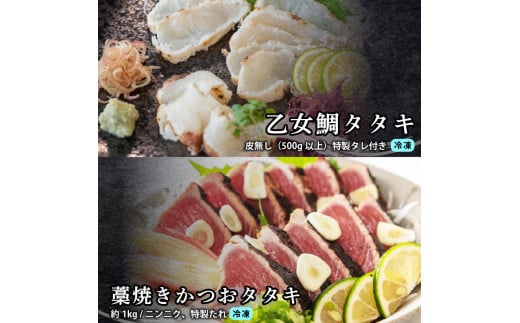 刺身 定期便 3ヶ月 お好きなお魚が選べる！ 小島水産 産地直送 3回 新鮮 かつおタタキ 真鯛 ブリ 刺身 乙女鯛 乙女ブリ 藁焼き かつお タタキ 鯛 タイ たい 鰤 鰹 かつおのたたき タタキ カツオ 海鮮 鮮魚 魚 お刺身 高知県 須崎市 KS29000-x