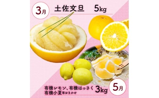 全 3回 3ヶ月 果物 定期便 ぽんかん 土佐 文旦 オーガニック 無農薬 防腐剤 不使用 高知県 須崎市 柑橘 蜜柑 みかん オレンジ フルーツ 果物 お取り寄せ 家庭用 高知県 須崎市 頒布会 3回定期便