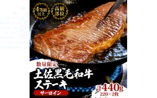 【6回定期】土佐黒毛和牛 食べ比べ 3940g 【計3.9kg以上】