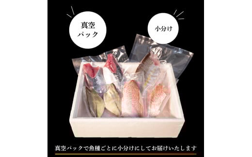 天然 鮮魚 詰め合わせ 朝獲れ直送 下処理済み 4~6種入り 2kg～2.5kg （2026年6月出荷） 冷蔵 魚種お任せ 水揚げ 海鮮 魚介 産地直送 新鮮 魚 鮮魚ボックス 2026年6月出荷 2kg~2.5kg（冷蔵）