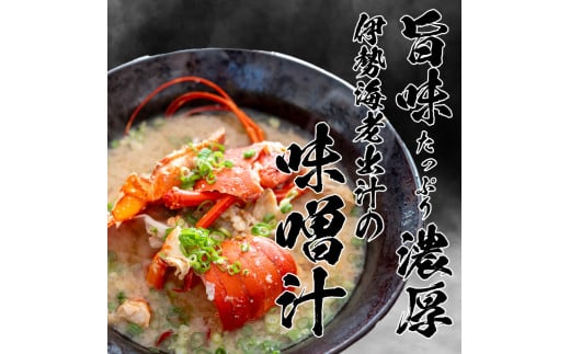 特大伊勢海老 1匹 本からすみ 100g 【 特大サイズ 急速冷凍 えび エビ からすみ カラスミ 珍味 鮮魚 海鮮 魚介 魚卵 刺身 焼き物 汁物 セット ギフト 贈答 贈り物 祝い 歳暮 中元 】 IKY062 【高知県】 伊勢海老 1尾：からすみ100g