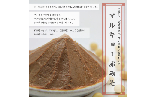 自家製 味噌 3種 500g 9パック 4.5kg セット 国産 マルキョー味噌 赤味噌 白味噌 詰め合わせ みそ 味噌汁 お味噌汁 大豆 米 調味料 発酵調味料 職人 手作り 高知県 須崎市 500g × 9パック (3種3パックずつ)	