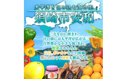 定期便 6回 6か月 半年 野菜 7~8品程度 詰め合わせ セット 毎月お届け 半年間 高知県 須崎市 季節 旬 新鮮 定番 やさい 産地直送（ 小夏 キャベツ ネギ ピーマン オクラ きゅうり かぼちゃ パプリカ ブロッコリー トマト カブ タマネギ じゃがいも びわ ほうれんそう みかん とうもろこし 大根 小松菜 ニンジン 人参 ぽんかん ゆず ）