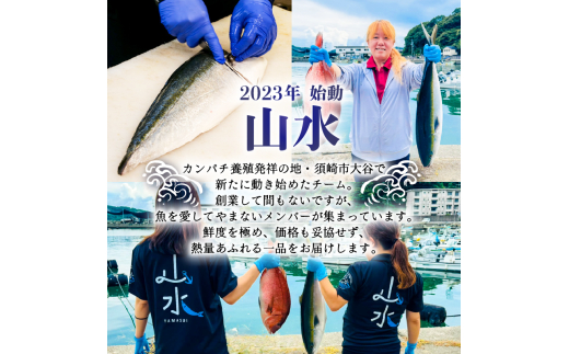 藁焼き ブリのたたき ブリたたき 鰤 150g以上