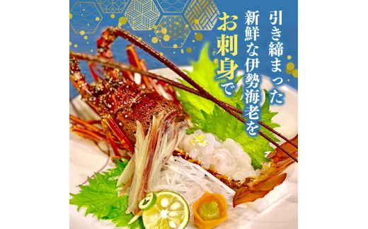 【訳あり】 職人吉岡 の 冷凍 伊勢海老 約 700g 以上 【 サイズ混合 えび エビ いせえび 鮮魚 イセエビ 海鮮 魚介 刺身 焼き物 汁物 ギフト 贈答 贈り物 祝い 歳暮 中元 天然 海の幸 高知県 須崎市 】 IKY054 【高知県】 約700g